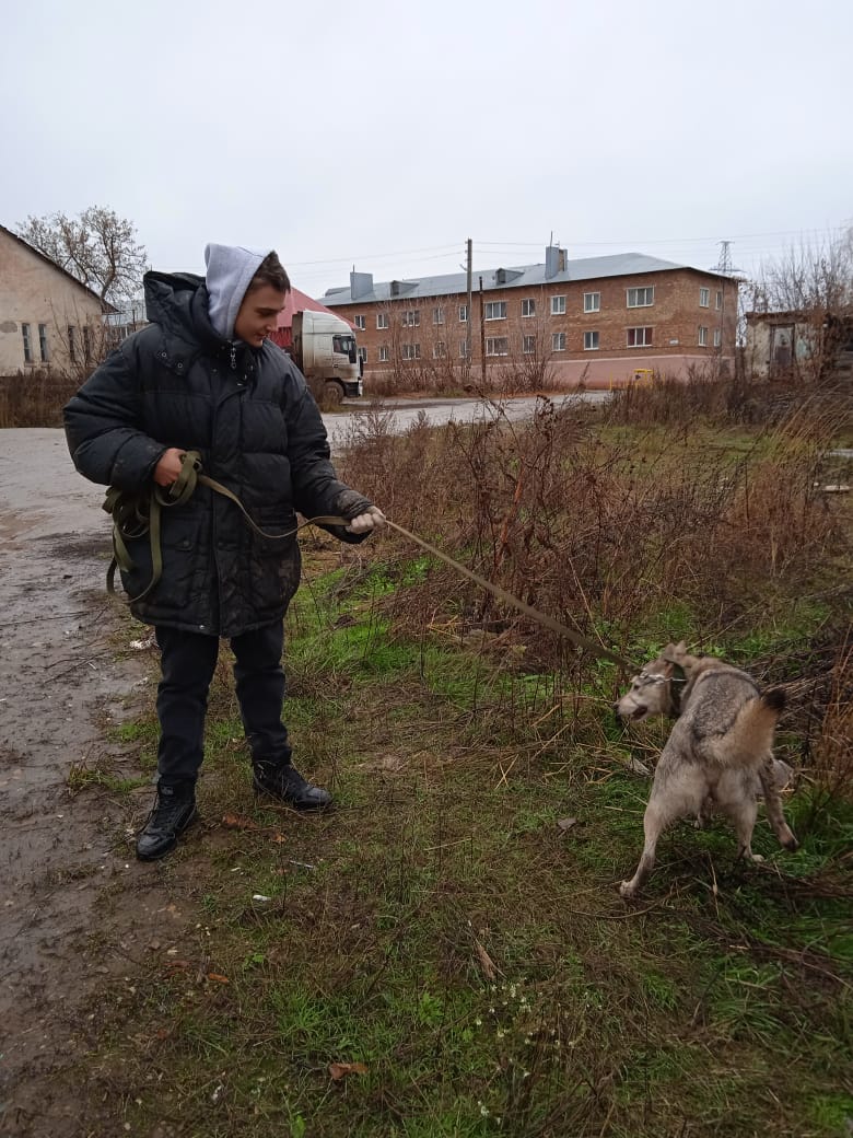 Лениногорский муниципальный район и город Лениногорск