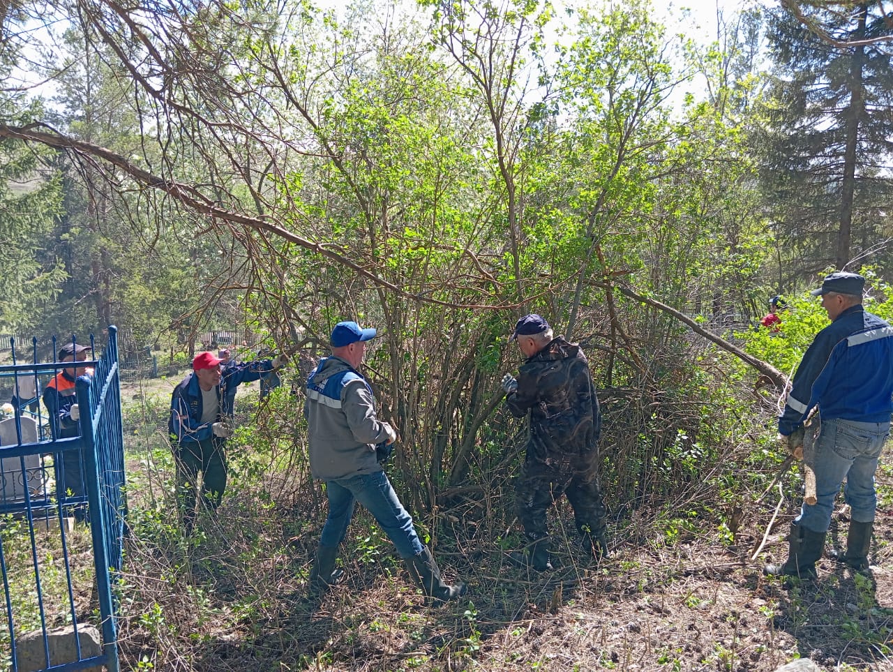 Новости